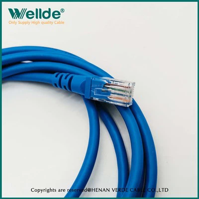 Blauwe patchkabel netwerkkabel